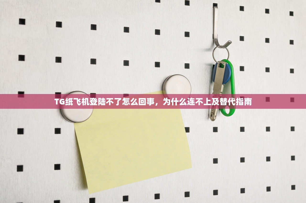 TG纸飞机登陆不了怎么回事,为什么连不上及替代指南