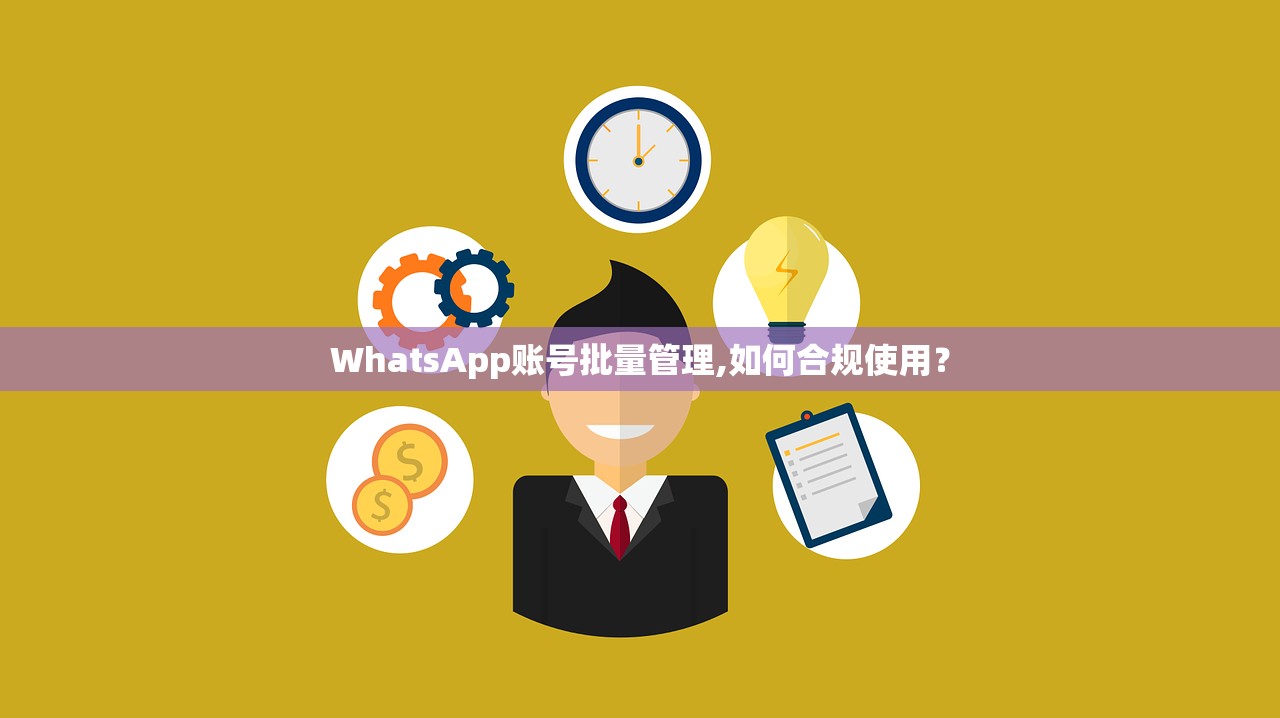 WhatsApp账号批量管理,如何合规使用?