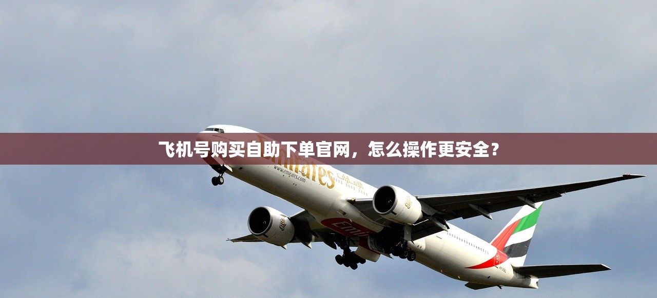 飞机号购买自助下单官网,怎么操作更安全?