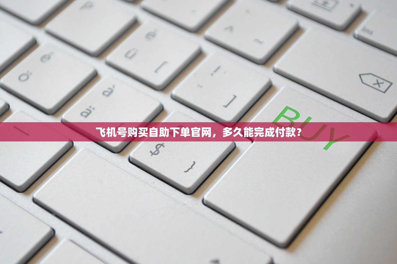 飞机号购买自助下单官网,多久能完成付款?
