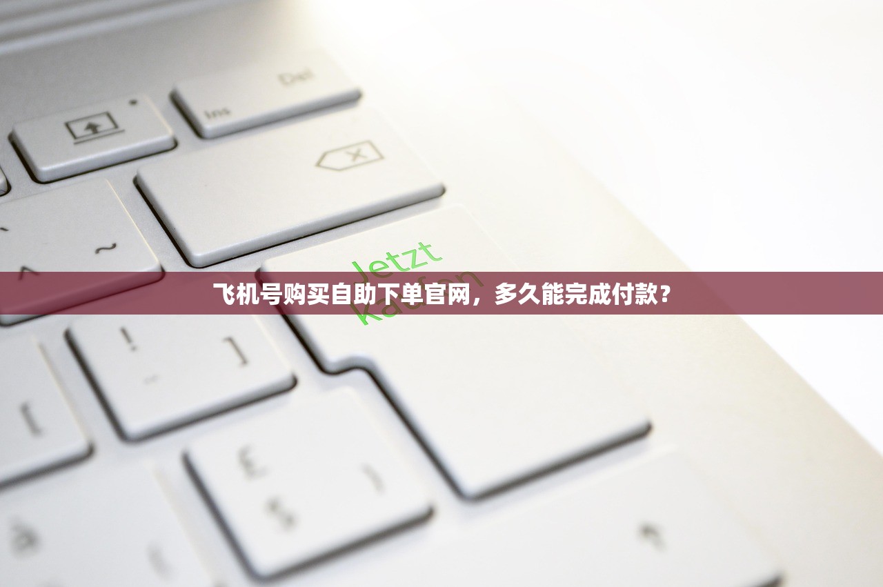 飞机号购买自助下单官网,多久能完成付款?