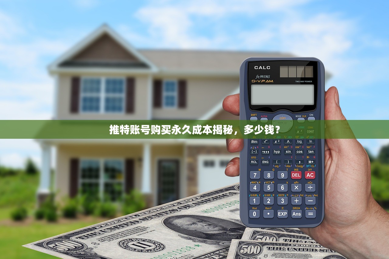 推特账号购买永久成本揭秘,多少钱?