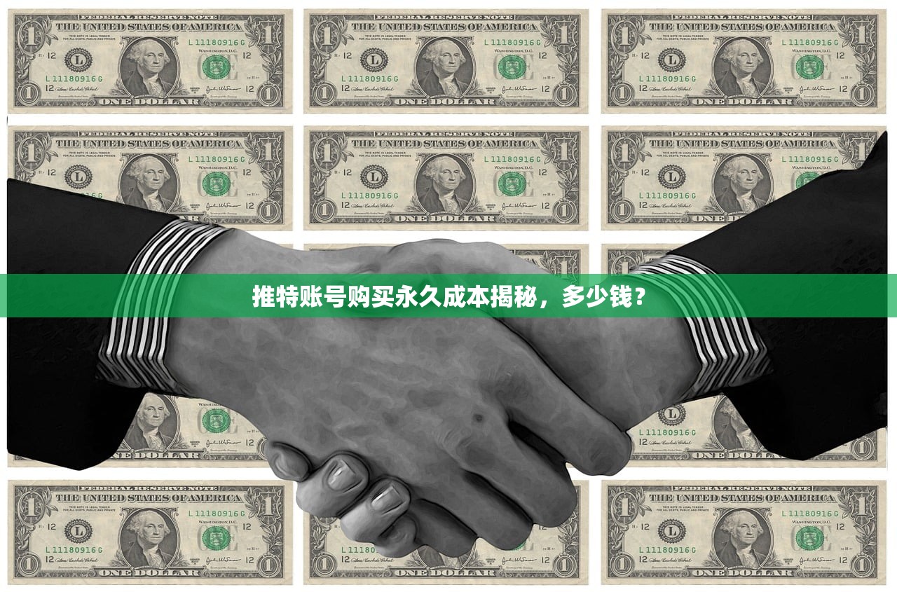 推特账号购买永久成本揭秘,多少钱?