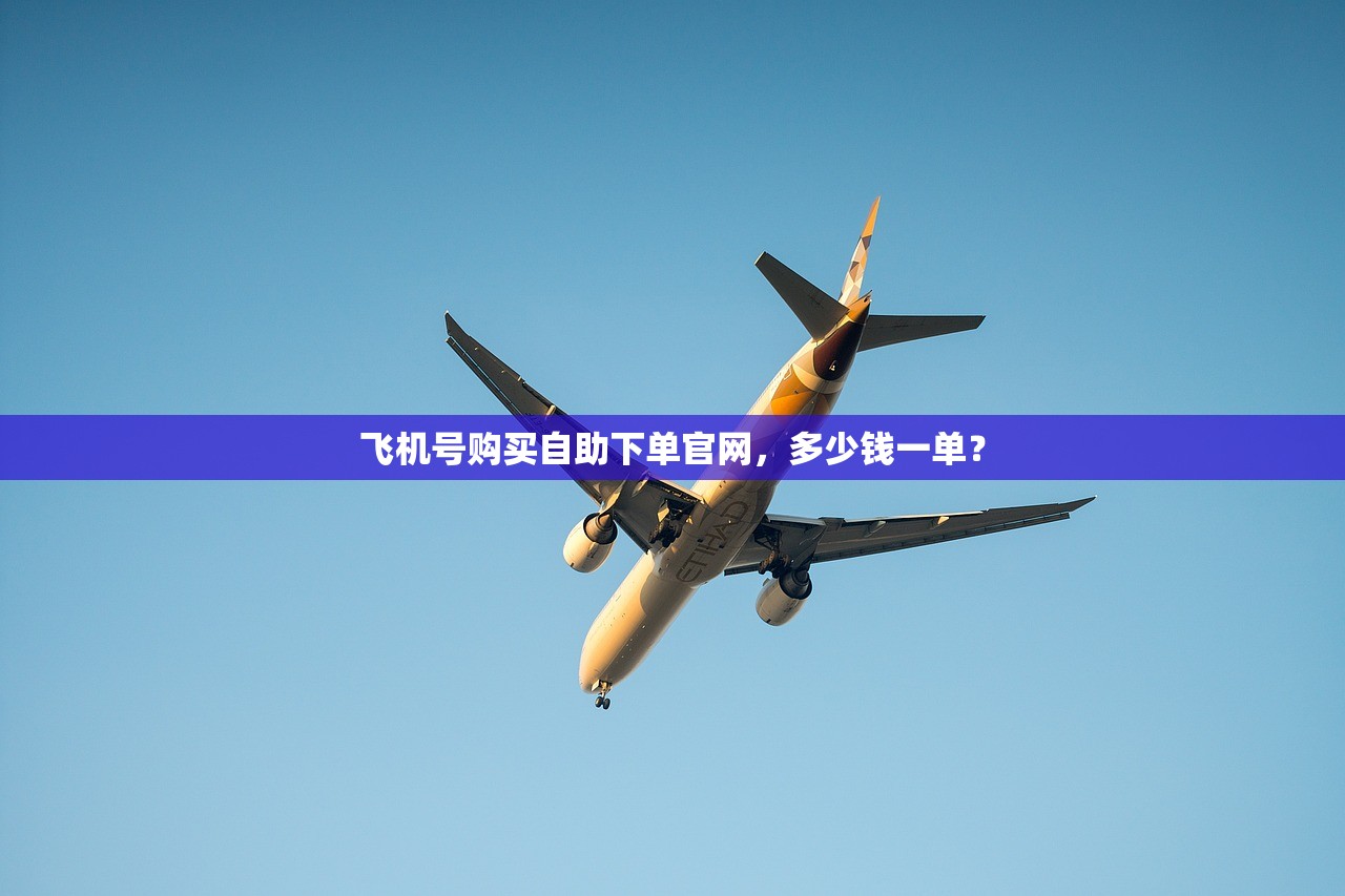 飞机号购买自助下单官网,多少钱一单?