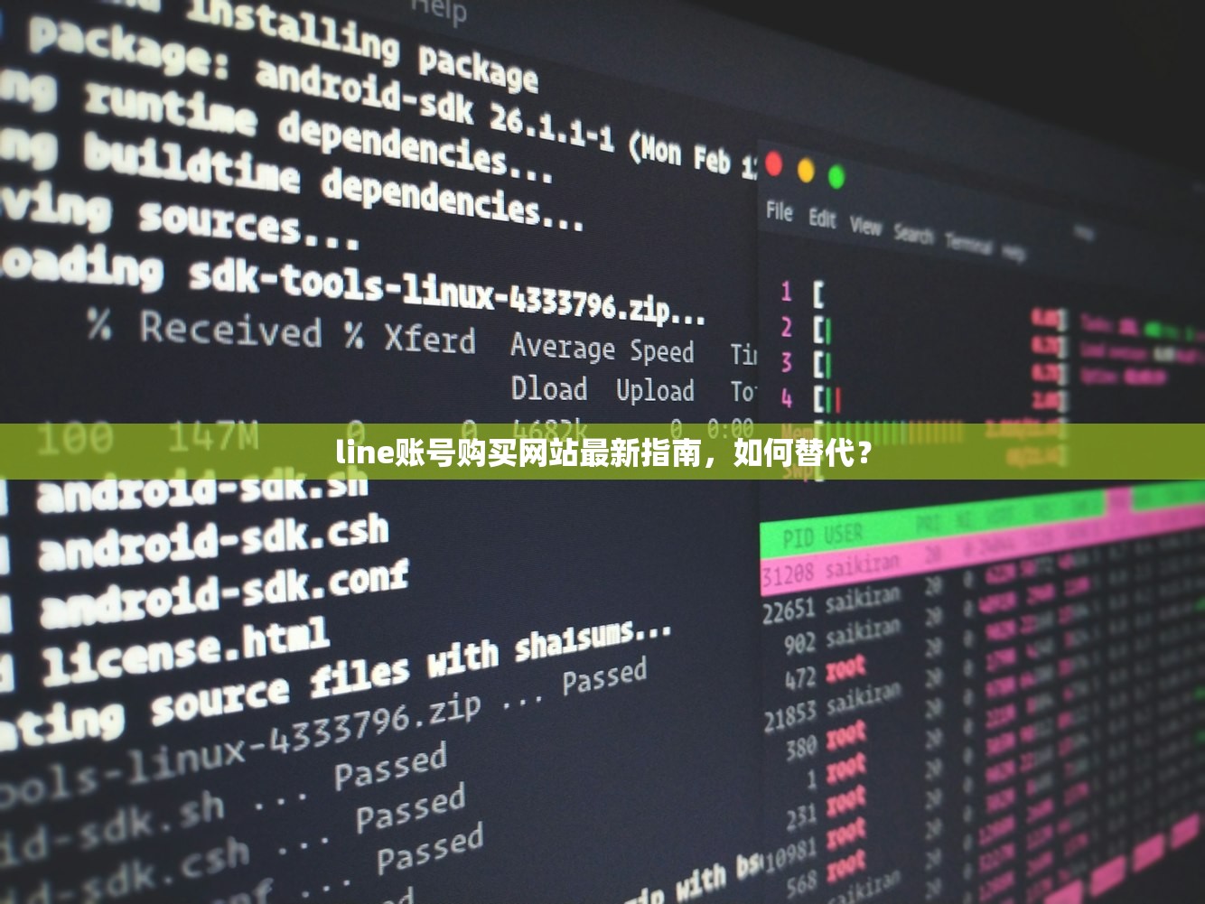 line账号购买网站最新指南，如何替代？