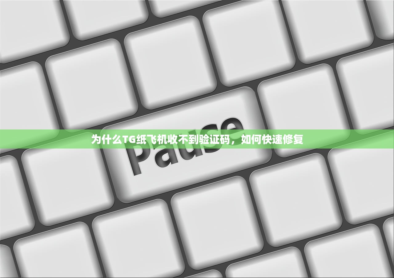 为什么TG纸飞机收不到验证码,如何快速修复