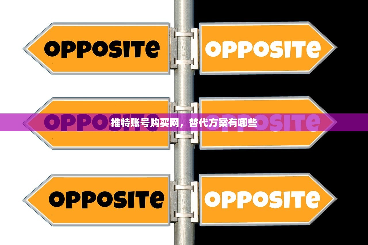推特账号购买网,替代方案有哪些