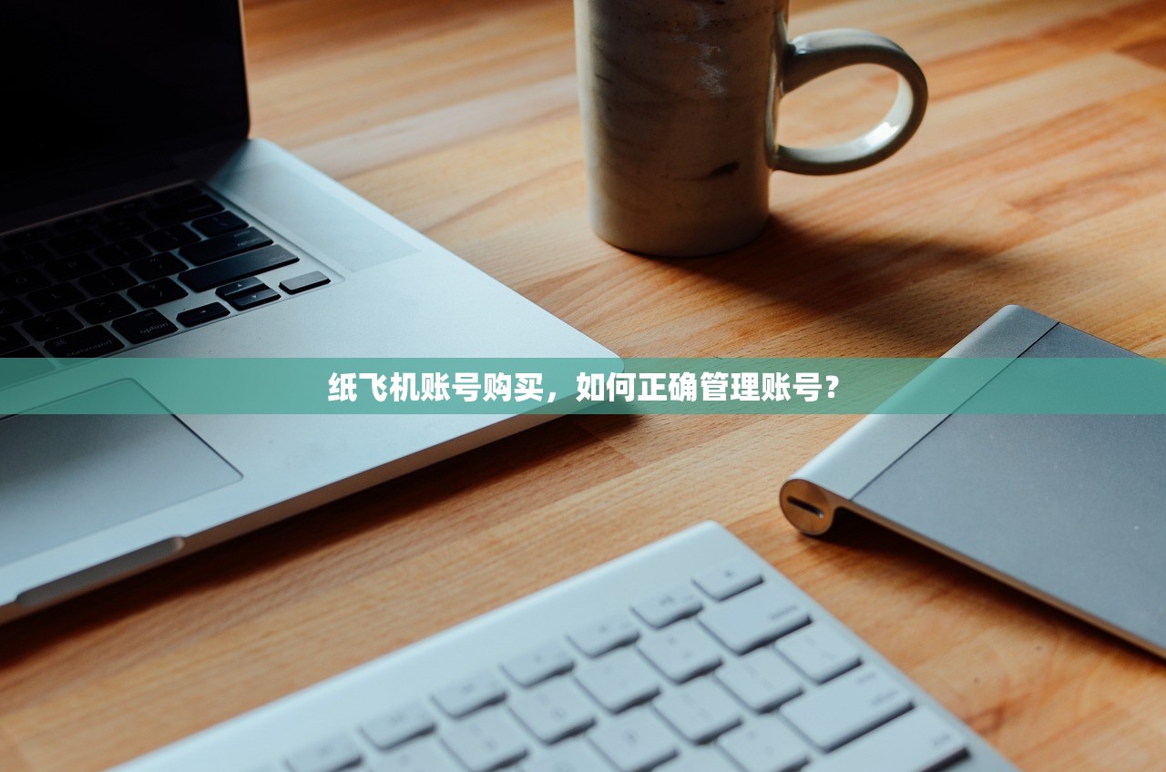 纸飞机账号购买,如何正确管理账号?