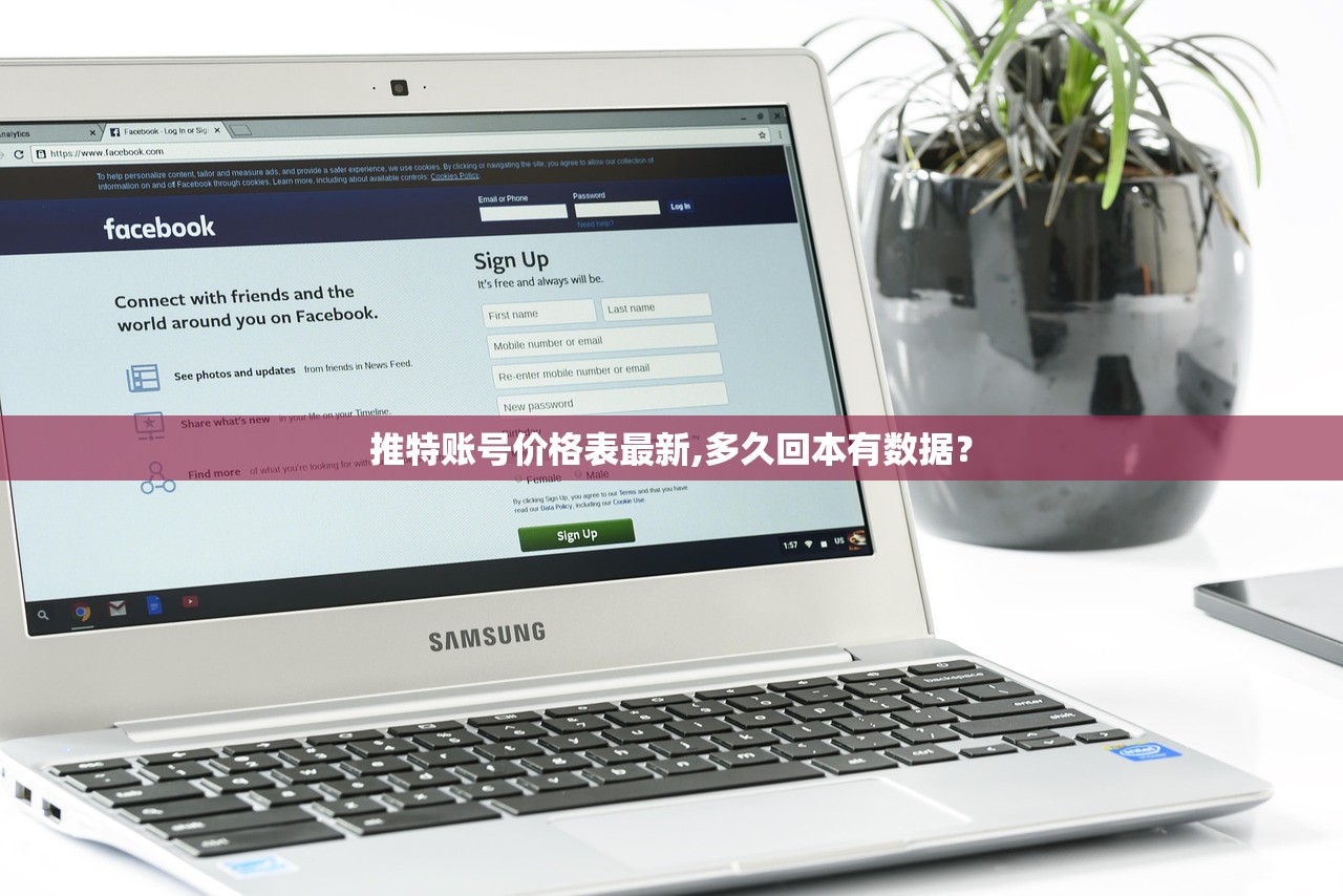 推特账号价格表最新,多久回本有数据?