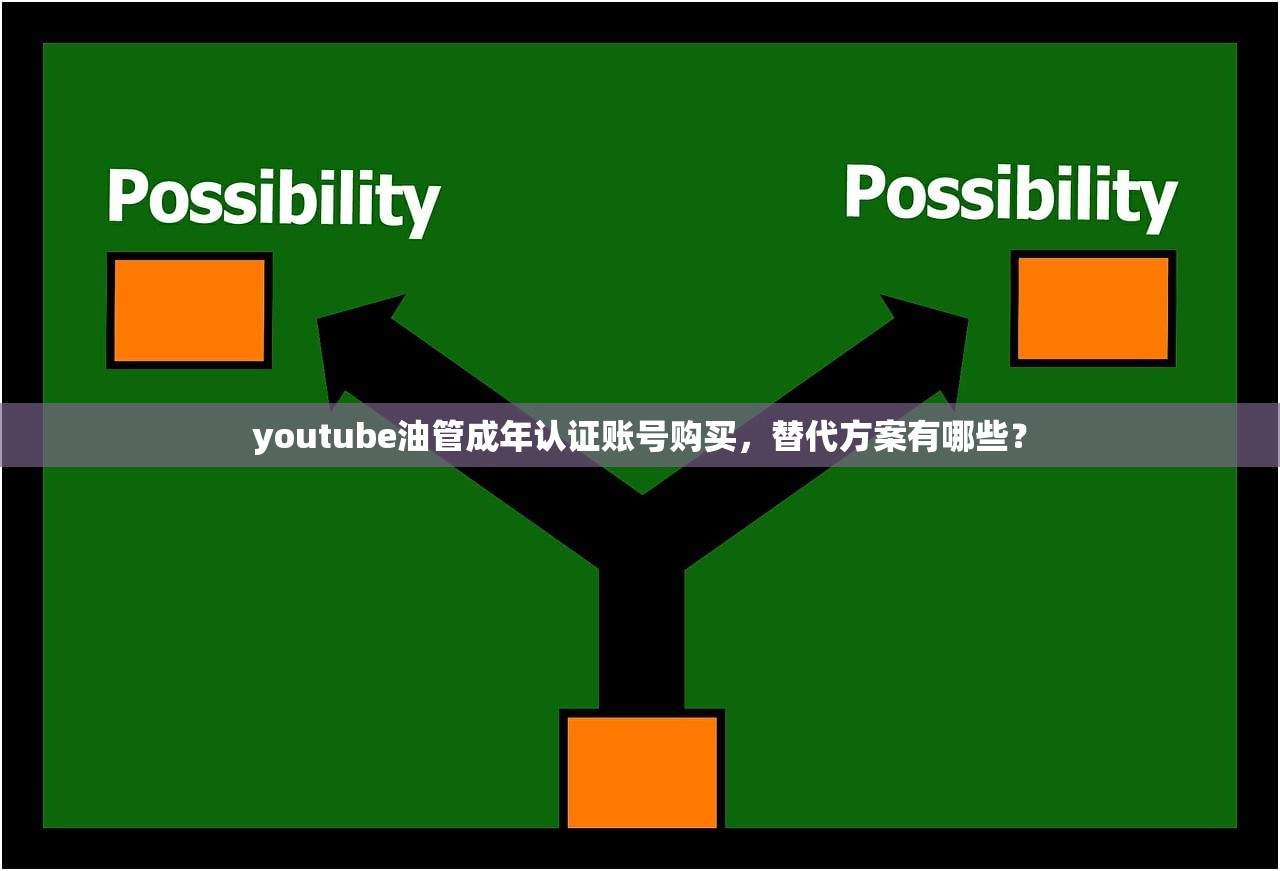 youtube油管成年认证账号购买,替代方案有哪些?