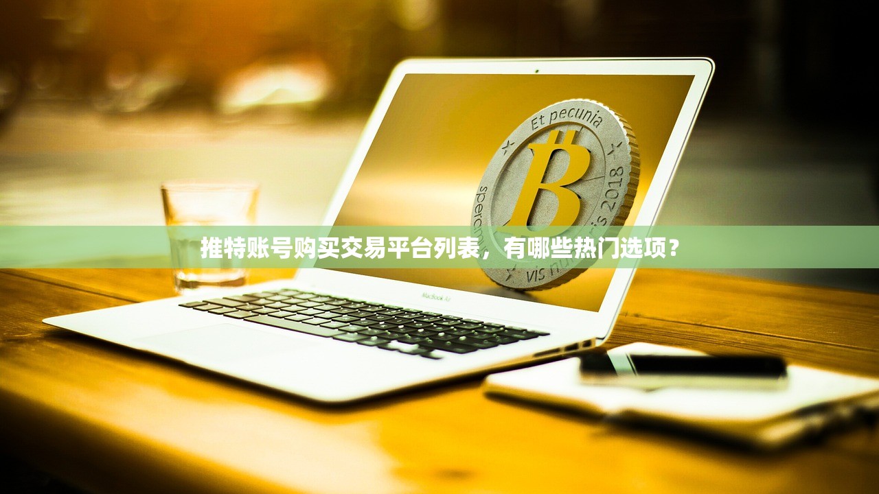 推特账号购买交易平台列表，有哪些热门选项？
