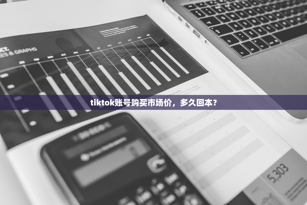 tiktok账号购买市场价，多久回本？