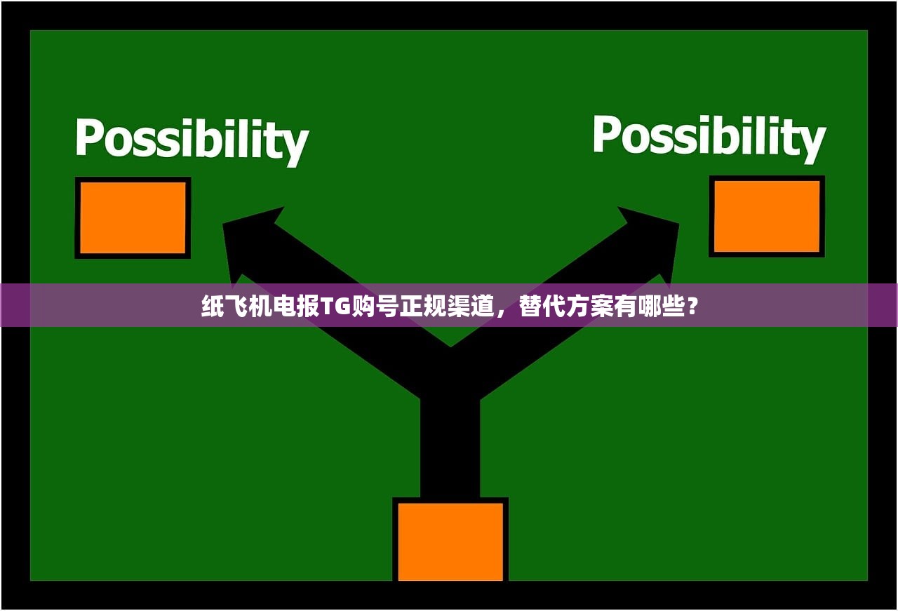 纸飞机电报TG购号正规渠道,替代方案有哪些?