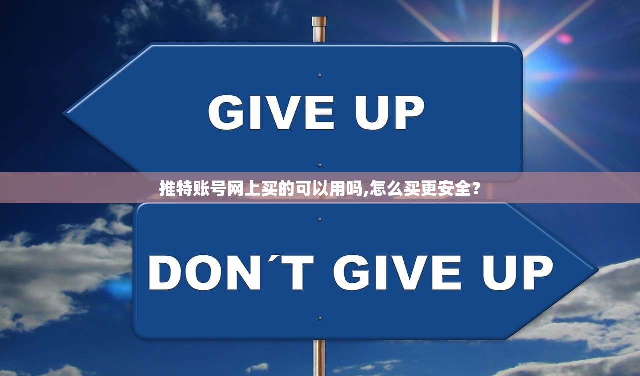 推特账号网上买的可以用吗,怎么买更安全?
