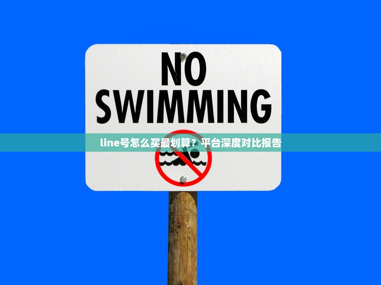 line号怎么买最划算？平台深度对比报告