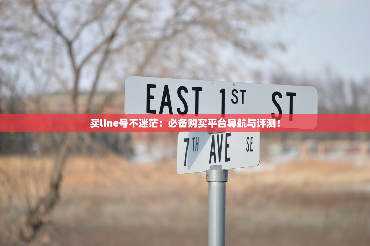买line号不迷茫:必备购买平台导航与评测!