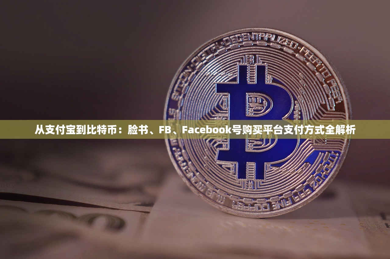 从支付宝到比特币:脸书、FB、Facebook号购买平台支付方式全解析
