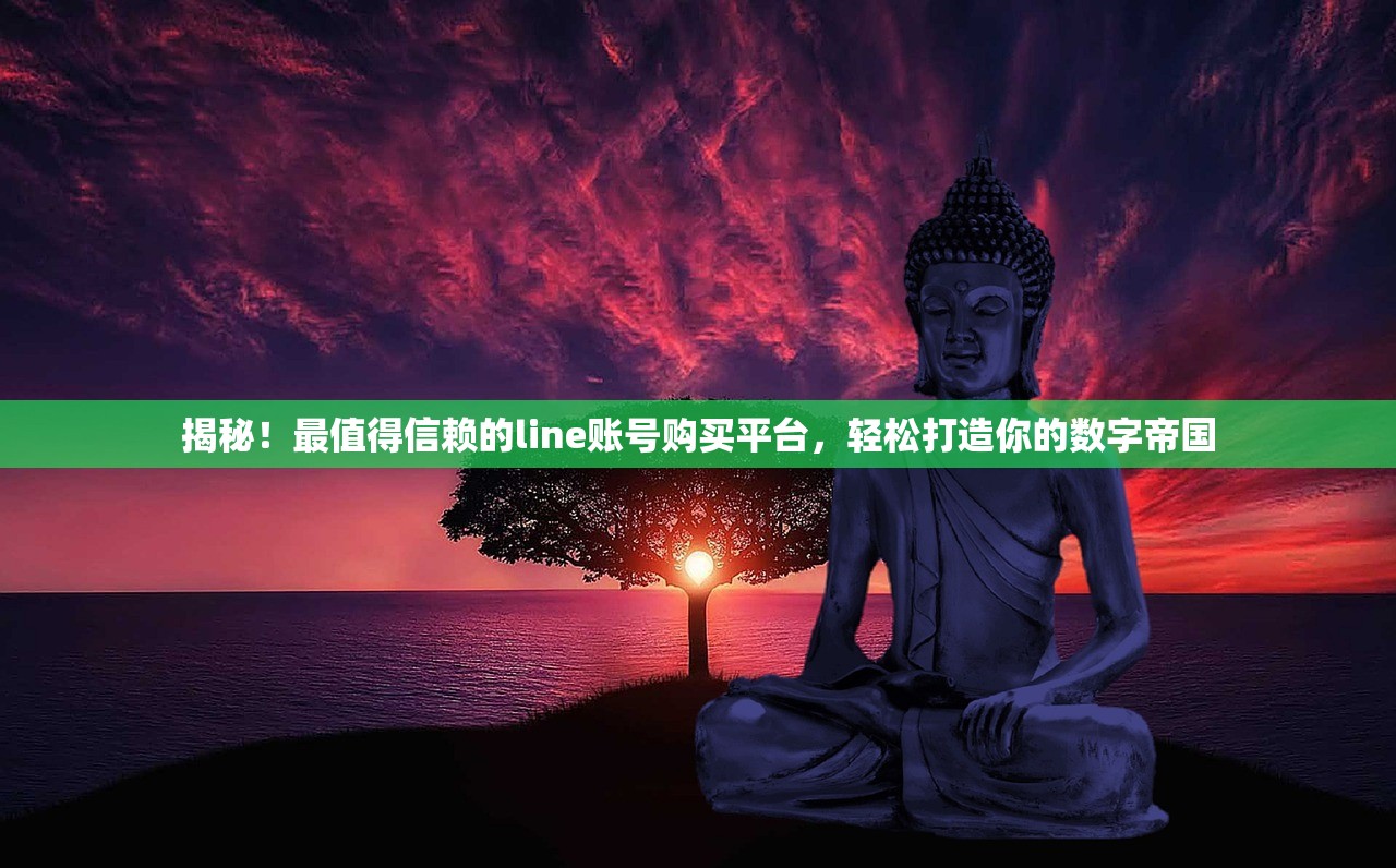 揭秘！最值得信赖的line账号购买平台，轻松打造你的数字帝国